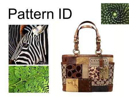 Pattern ID. pattern - The repetition of any thing — shapes, lines, or colors. We see patterns all around us! Patterns occur both in the man-made and natural.