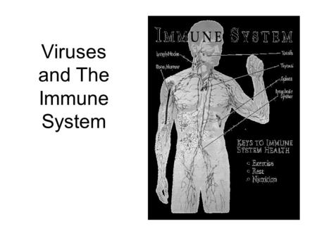 Viruses and The Immune System