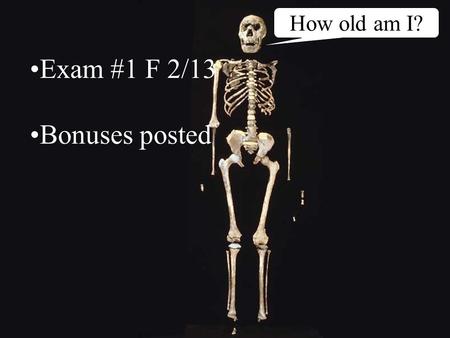 How old am I? Exam #1 F 2/13 Bonuses posted. 1.7 million-year-old human ancestor.