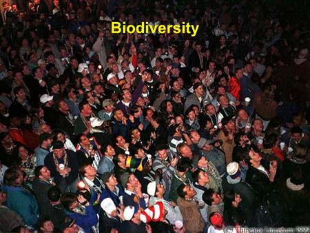 Biodiversity. Average Size Measure all trees in a transect or quadrat. Produce a size-frequency histogram to show the size distribution. Can also calculate.