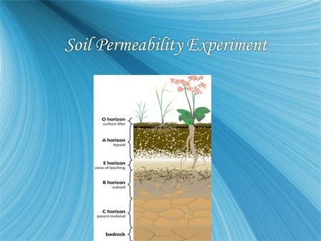 Soil Permeability Experiment. What is Percolation?  the act or state of percolating or of being percolated.actpercolating percolated  the act or state.