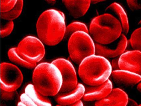 Are we using real blood? No, because blood can carry diseases.