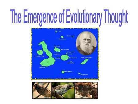 I. Pre 1800’s - What before the 1800’s what was the prevailing view concerning species diversity? scholars in the west believed that living things or.