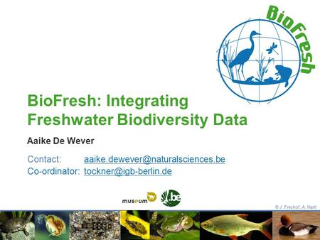 Aaike De Wever BioFresh: Integrating Freshwater Biodiversity Data © J. Freyhof, A. Hartl