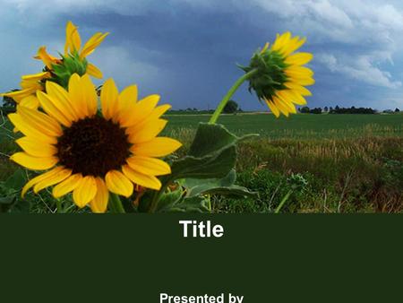 1 Title Presented by. 2 Project Costing Q – When can I add new Projects? A - You can add new Projects and Activities at any time. Project dates are based.