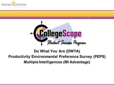 Illuminate Your Life Do What You Are (DWYA) Productivity Environmental Preference Survey (PEPS) Multiple Intelligences (MI Advantage)