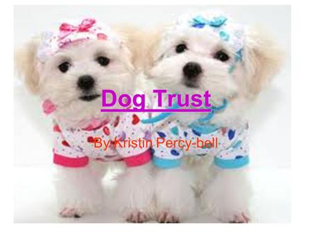 Dog Trust By Kristin Percy-bell. Aim and Objectives They are there to protect dogs from:They are there to protect dogs from: SufferingSuffering CrueltyCruelty.