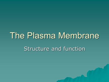 The Plasma Membrane Structure and function. The phospholipid bilayer  2 layers of phospholipid molecules –“head” is hydrophylic –“tail” is hydrophobic.