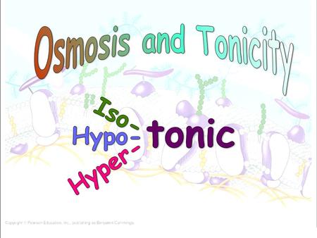 Break into your lab groups and look at the 5 choose your transport cards on your lab table. Identify if the card is an example of: Diffusion, Osmosis.