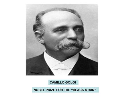 CAMILLO GOLGI NOBEL PRIZE FOR THE “BLACK STAIN”. FIRST PICTURE OF GOLGI COMPLEX (STAINED WITH GOLGI’S BLACK STAIN) CELL BODY OF NEURON AXON.