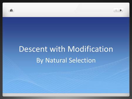 Descent with Modification By Natural Selection. Darwin’s influences Carolus Linnaeus (1707-1778)- Developed a classification system for all known organisms.