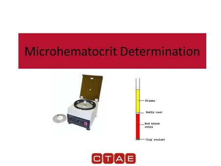 Microhematocrit Determination. Microhematocrit Hematocrit — Test that provides a health care worker with an estimate of the patient’s red cell volume.