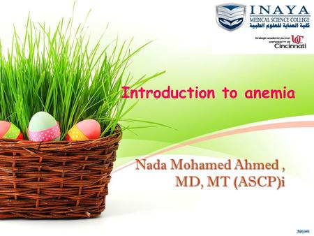 Nada Mohamed Ahmed , MD, MT (ASCP)i