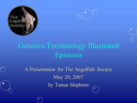 Genetics Terminology Illustrated Epistasis A Presentation for The Angelfish Society May 20, 2007 by Tamar Stephens.