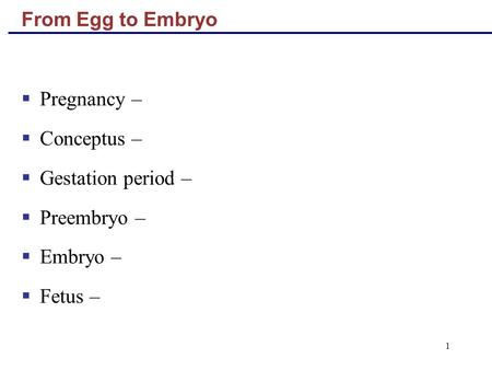 Pregnancy – Conceptus – Gestation period – Preembryo – Embryo –