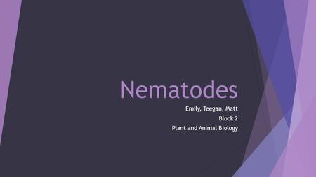 Nematodes Emily, Teegan, Matt Block 2 Plant and Animal Biology.