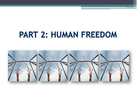 FREEDOM INTRODUCTORY QUESTIONS 1.Why is it that human beings, and not animals are only able to act morally 2.Define a human action. 3.Is freedom limited?