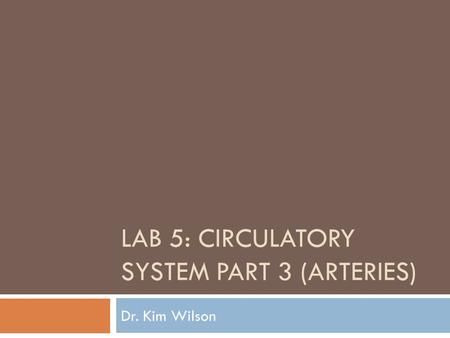 LAB 5: CIRCULATORY SYSTEM PART 3 (ARTERIES) Dr. Kim Wilson.