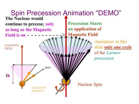 Spin Precession Animation “DEMO”