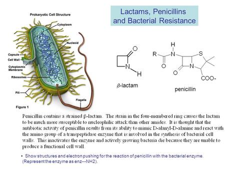 and Bacterial Resistance