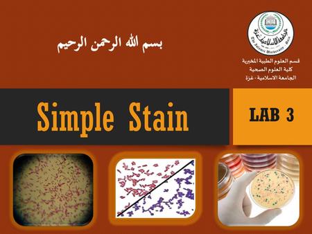 What is a Stain A stain is a substance that adheres to a cell, giving the cell color. The presence of color gives the cells significant contrast so are.