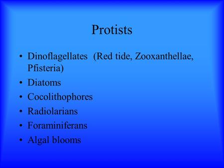 Protists Dinoflagellates (Red tide, Zooxanthellae, Pfisteria) Diatoms