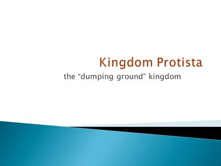 The “dumping ground” kingdom. Characteristics Eukaryotes that are NOT plants, animals, or fungus but are closely related to plants, animals, or fungi.