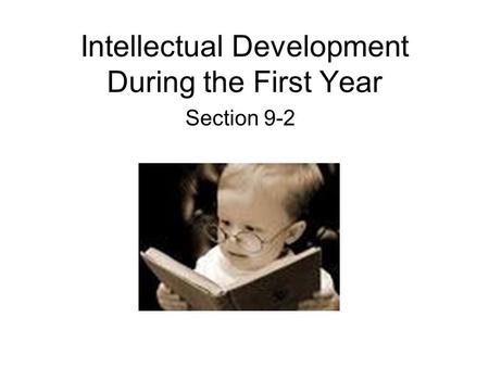 Intellectual Development During the First Year