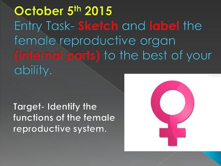 Female reproductive organs are for intercourse, reproduction, urination pregnancy and childbirth.