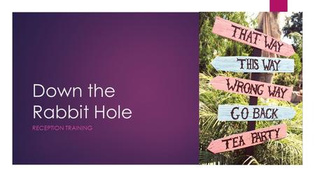 Down the Rabbit Hole RECEPTION TRAINING. Reception  REGISTRATION  COAT CHECK  FOOD & BEVERAGE  Drinks  Servers  Bussers  TRANSITION.