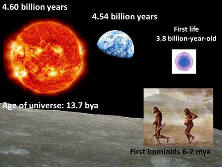 4.54 billion years 4.60 billion years First life 3.8 billion-year-old First hominids 6-7 mya Age of universe: 13.7 bya.