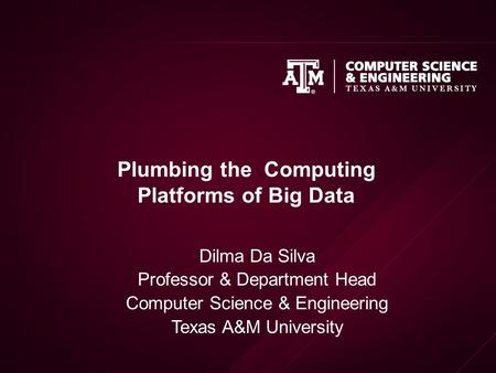 Plumbing the Computing Platforms of Big Data Dilma Da Silva Professor & Department Head Computer Science & Engineering Texas A&M University.