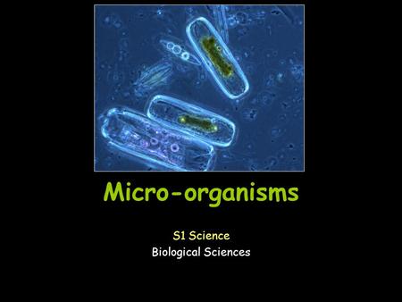 Micro-organisms S1 Science Biological Sciences. What are germs? There are lots of different types of germs. Germs are all around us. Germs are bad for.