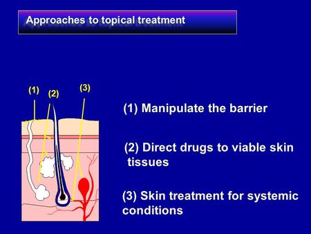 Approaches to topical treatment (1) (1) Manipulate the barrier (2) (2) Direct drugs to viable skin tissues (3) (3) Skin treatment for systemic conditions.