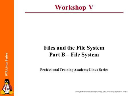 PTA Linux Series Copyright Professional Training Academy, CSIS, University of Limerick, 2006 © Workshop V Files and the File System Part B – File System.