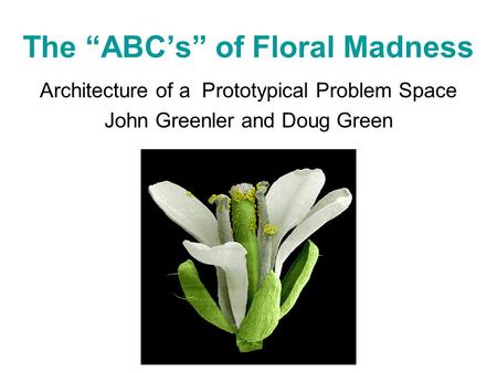 The “ABC’s” of Floral Madness Architecture of a Prototypical Problem Space John Greenler and Doug Green.