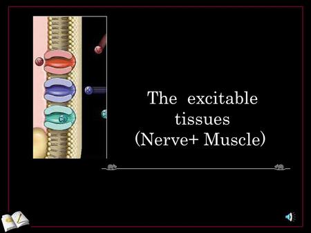 The excitable tissues (Nerve+ Muscle). Objectives At the end of this lecture the student should be able to : Describe the voltage-gated sodium and potassium.