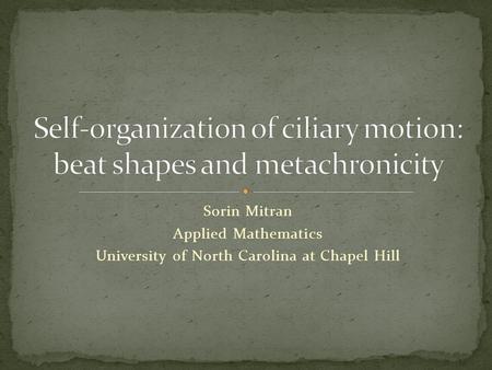 Self-organization of ciliary motion: beat shapes and metachronicity