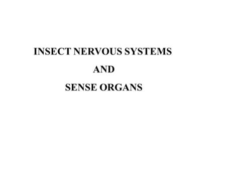 INSECT NERVOUS SYSTEMS AND SENSE ORGANS. Types of Neurons unipolar bipolar multipolar axon.