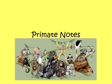 Primate Notes. Primates include the most familiar of the placental mammals. Most primates live in tropical or sub- tropical regions of the Americas, Africa,