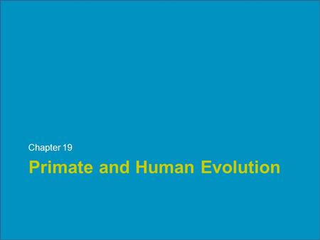 Primate and Human Evolution Chapter 19. What Are Primates? Primate order: Arboreal ancestors. Trends in primate evolution: –Changes in skeletons. –Change.