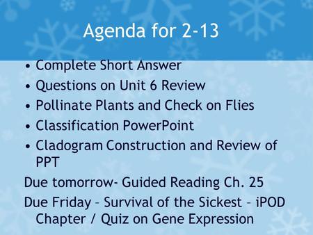 Agenda for 2-13 Complete Short Answer Questions on Unit 6 Review Pollinate Plants and Check on Flies Classification PowerPoint Cladogram Construction and.