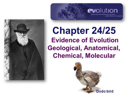 Chapter 24/25 Evidence of Evolution Geological, Anatomical, Chemical, Molecular Dodo bird.