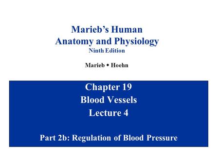 Chapter 19 Blood Vessels Lecture 4 Part 2b: Regulation of Blood Pressure Marieb’s Human Anatomy and Physiology Ninth Edition Marieb  Hoehn.