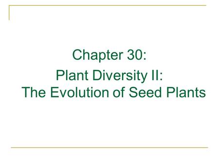 Chapter 30: Plant Diversity II: The Evolution of Seed Plants.