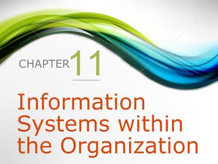 Information Systems within the Organization