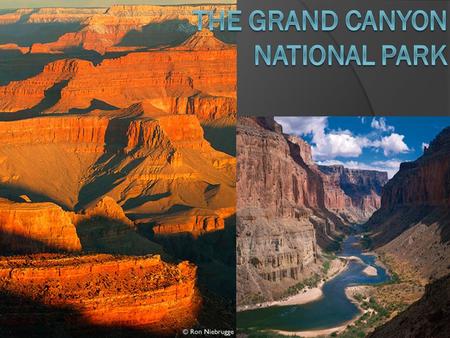 Location:  Arizona, United States. Weather & Climate  Because of its elevation the Grand Canyon experiences a wide variety of climate changes.  Highest.