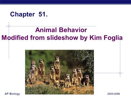 AP Biology 2005-2006 Animal Behavior Modified from slideshow by Kim Foglia Chapter 51.