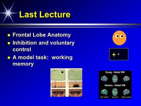 Last Lecture Frontal Lobe Anatomy Inhibition and voluntary control