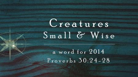 A word for 2014 Proverbs 30:24-28. Hebrews 12:25-29 – When God spoke from Mount Sinai His voice shook the earth, but now He makes another promise: Once.